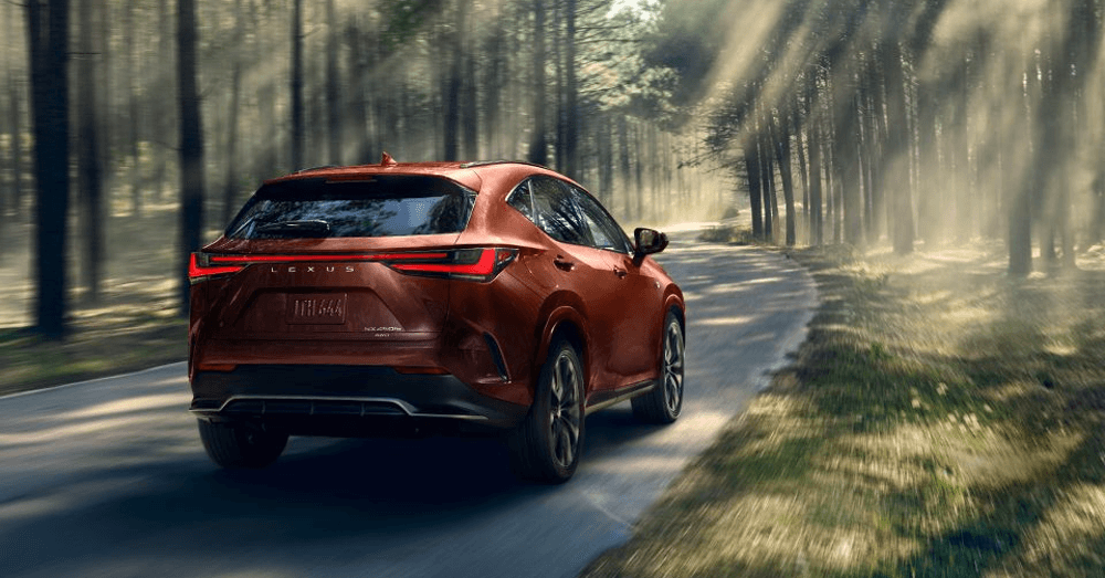 The New 2025 Lexus NX Lineup